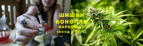 дурь Алексеевка