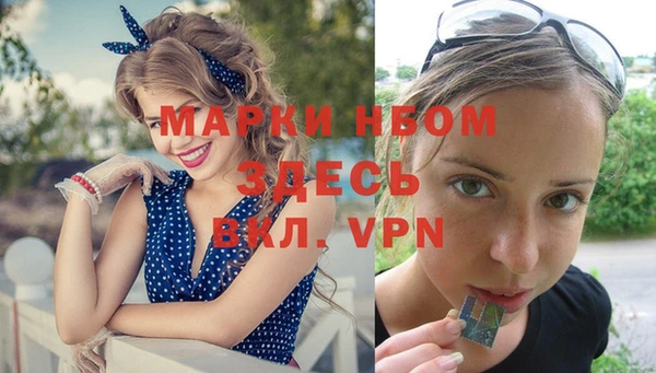 МДПВ Алексин